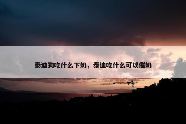 泰迪狗吃什么下奶，泰迪吃什么可以催奶