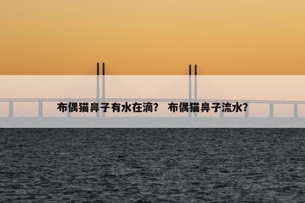 布偶猫鼻子有水在滴？ 布偶猫鼻子流水？