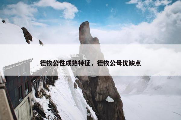 德牧公性成熟特征，德牧公母优缺点