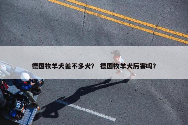 德国牧羊犬差不多犬？ 德国牧羊犬厉害吗？