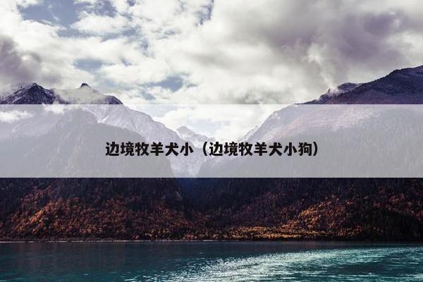 边境牧羊犬小（边境牧羊犬小狗）