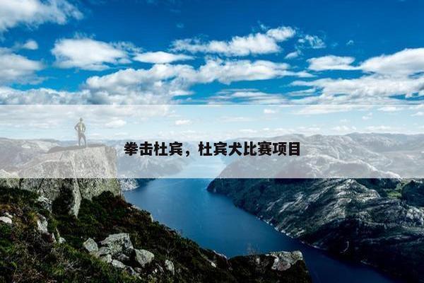 拳击杜宾，杜宾犬比赛项目