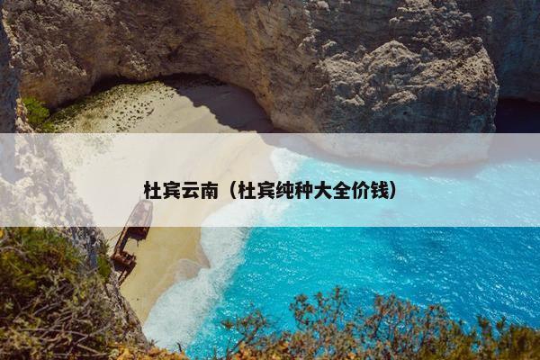 杜宾云南（杜宾纯种大全价钱）