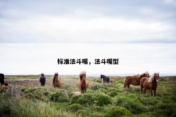 标准法斗嘴，法斗嘴型