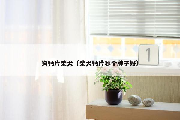 狗钙片柴犬（柴犬钙片哪个牌子好）