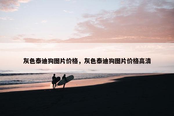 灰色泰迪狗图片价格，灰色泰迪狗图片价格高清
