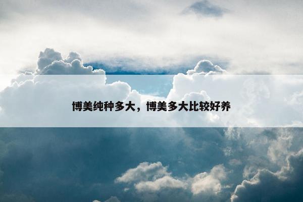 博美纯种多大，博美多大比较好养