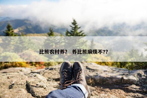 比熊农村养？ 养比熊麻烦不?？