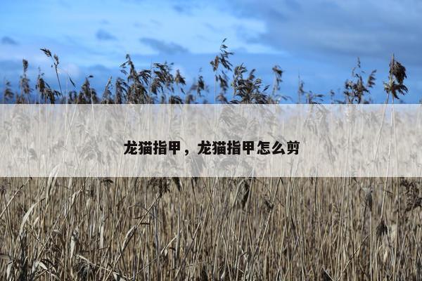 龙猫指甲，龙猫指甲怎么剪