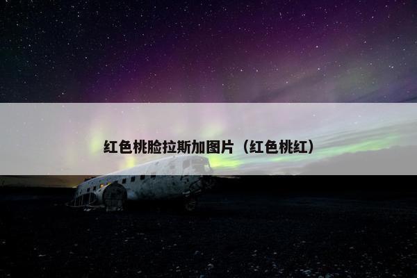 红色桃脸拉斯加图片（红色桃红）