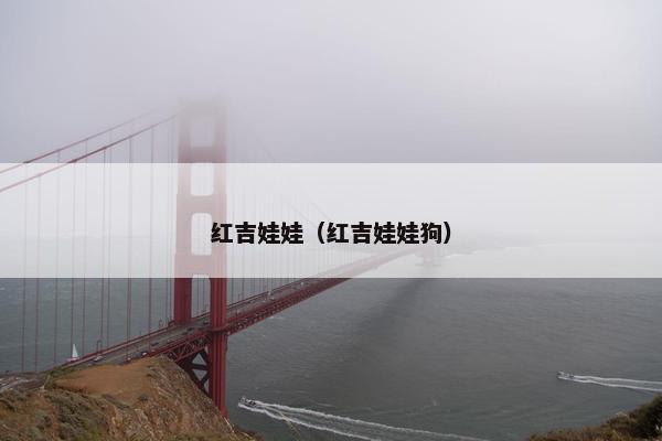 红吉娃娃（红吉娃娃狗）