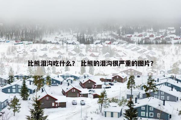 比熊泪沟吃什么？ 比熊的泪沟很严重的图片？