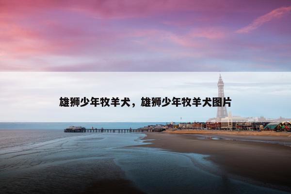 雄狮少年牧羊犬，雄狮少年牧羊犬图片