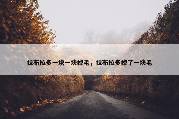 拉布拉多一块一块掉毛，拉布拉多掉了一块毛