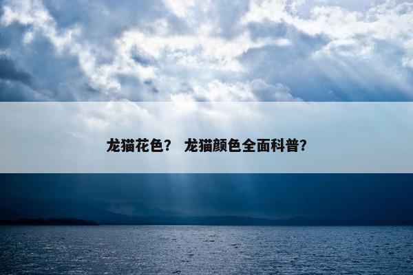 龙猫花色？ 龙猫颜色全面科普？