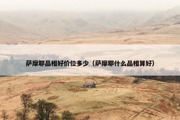 萨摩耶品相好价位多少（萨摩耶什么品相算好）