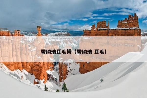 雪纳瑞耳毛粉（雪纳瑞 耳毛）