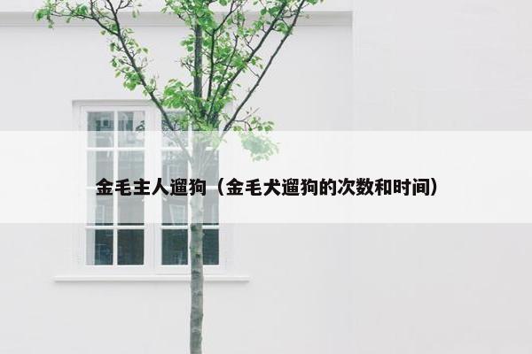 金毛主人遛狗（金毛犬遛狗的次数和时间）