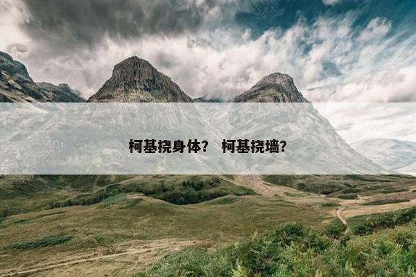 柯基挠身体？ 柯基挠墙？
