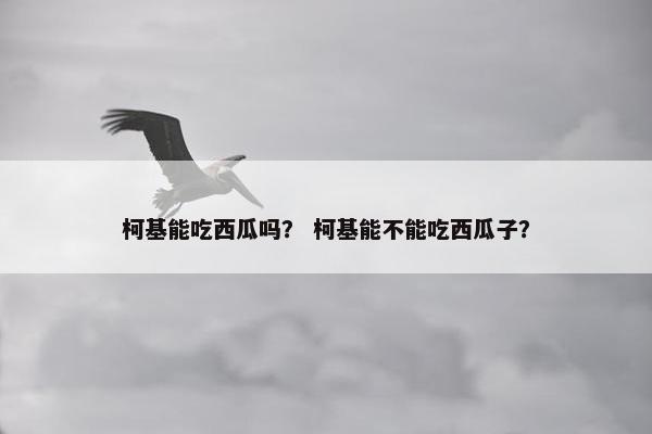 柯基能吃西瓜吗？ 柯基能不能吃西瓜子？