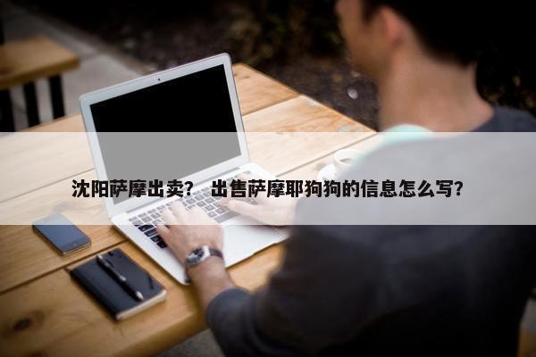 沈阳萨摩出卖？ 出售萨摩耶狗狗的信息怎么写？