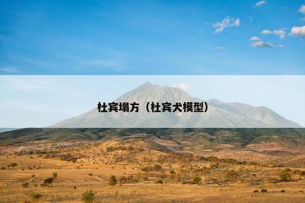 杜宾塌方（杜宾犬模型）