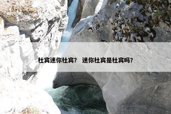杜宾迷你杜宾？ 迷你杜宾是杜宾吗？
