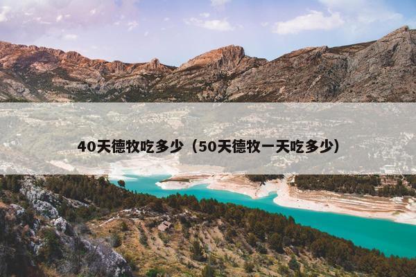 40天德牧吃多少（50天德牧一天吃多少）
