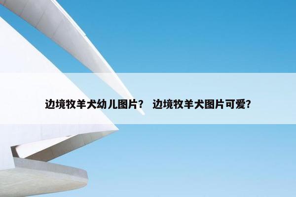 边境牧羊犬幼儿图片？ 边境牧羊犬图片可爱？