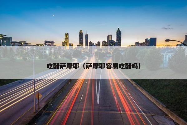 吃醋萨摩耶（萨摩耶容易吃醋吗）