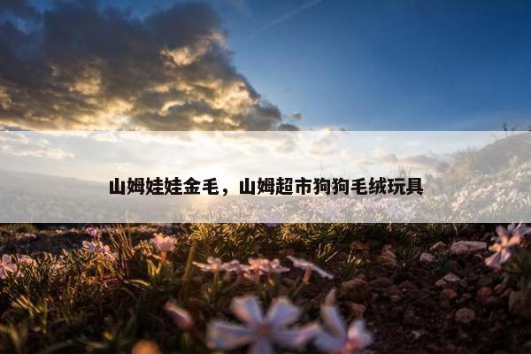 山姆娃娃金毛，山姆超市狗狗毛绒玩具