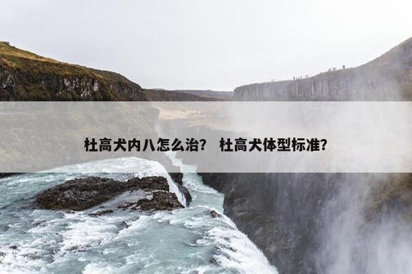 杜高犬内八怎么治？ 杜高犬体型标准？
