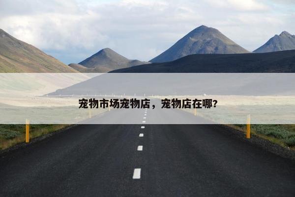 宠物市场宠物店，宠物店在哪?