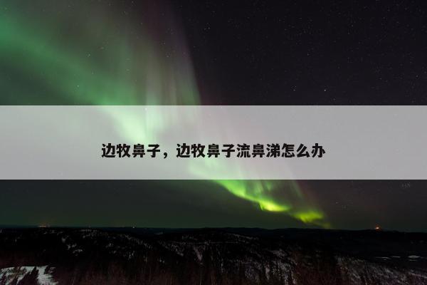 边牧鼻子，边牧鼻子流鼻涕怎么办