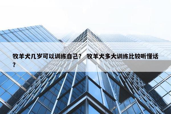 牧羊犬几岁可以训练自己？ 牧羊犬多大训练比较听懂话？