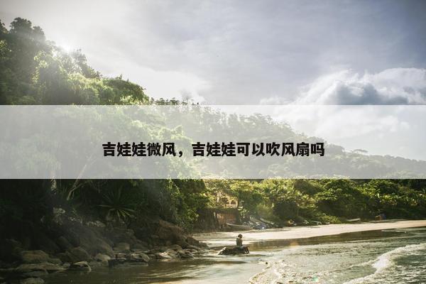 吉娃娃微风，吉娃娃可以吹风扇吗