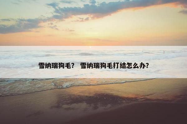 雪纳瑞狗毛？ 雪纳瑞狗毛打结怎么办？