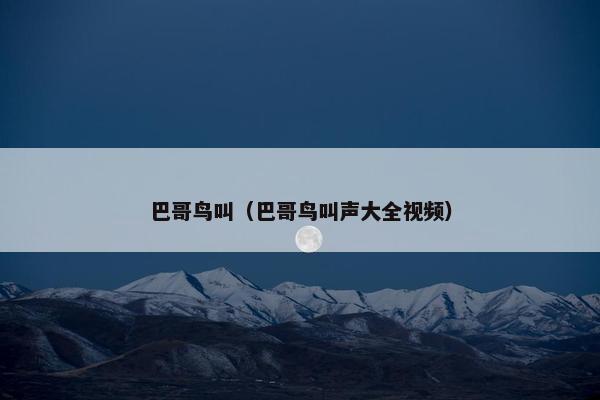 巴哥鸟叫（巴哥鸟叫声大全视频）