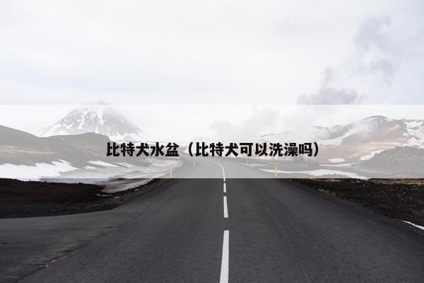 比特犬水盆（比特犬可以洗澡吗）