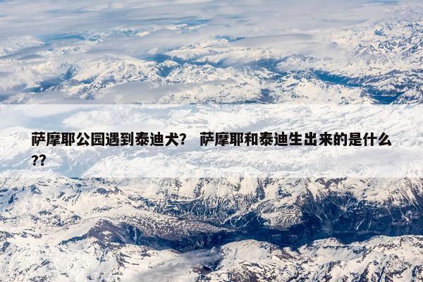 萨摩耶公园遇到泰迪犬？ 萨摩耶和泰迪生出来的是什么?？