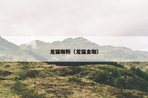 龙猫咖粉（龙猫金咖）