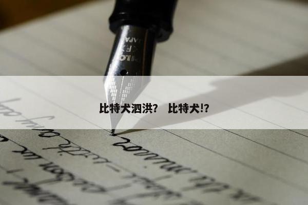 比特犬泗洪？ 比特犬!？