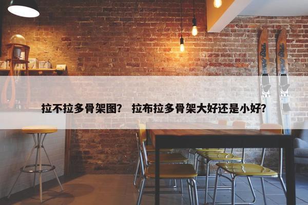 拉不拉多骨架图？ 拉布拉多骨架大好还是小好？