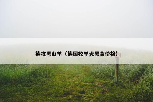 德牧黑山羊（德国牧羊犬黑背价格）