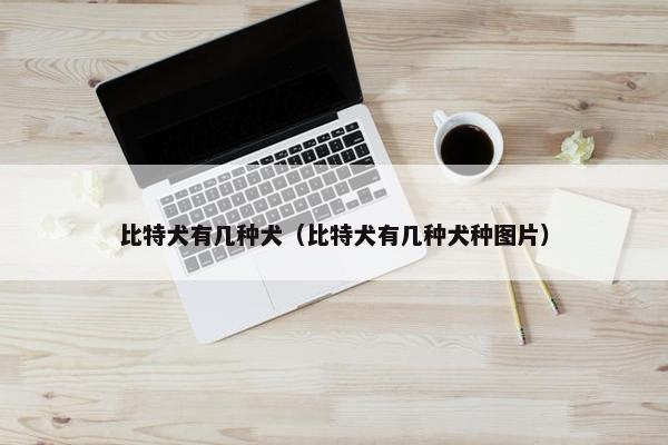 比特犬有几种犬（比特犬有几种犬种图片）