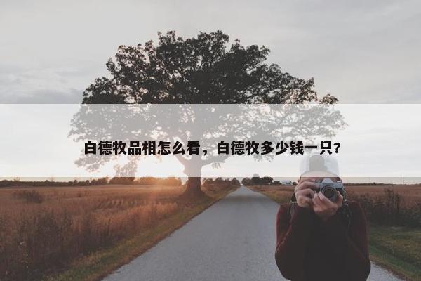 白德牧品相怎么看，白德牧多少钱一只?