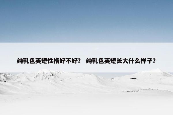 纯乳色英短性格好不好？ 纯乳色英短长大什么样子？
