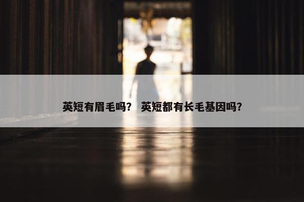 英短有眉毛吗？ 英短都有长毛基因吗？