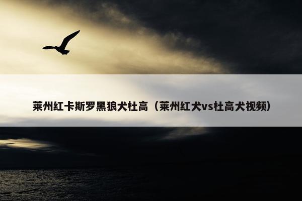 莱州红卡斯罗黑狼犬杜高（莱州红犬vs杜高犬视频）
