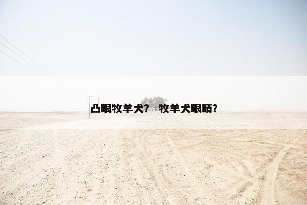 凸眼牧羊犬？ 牧羊犬眼睛？